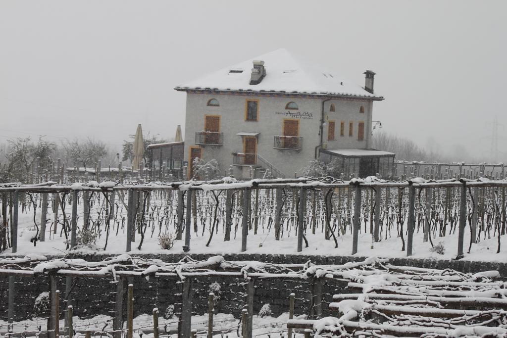 Fattoria L'Amorosa Sementina Exterior photo