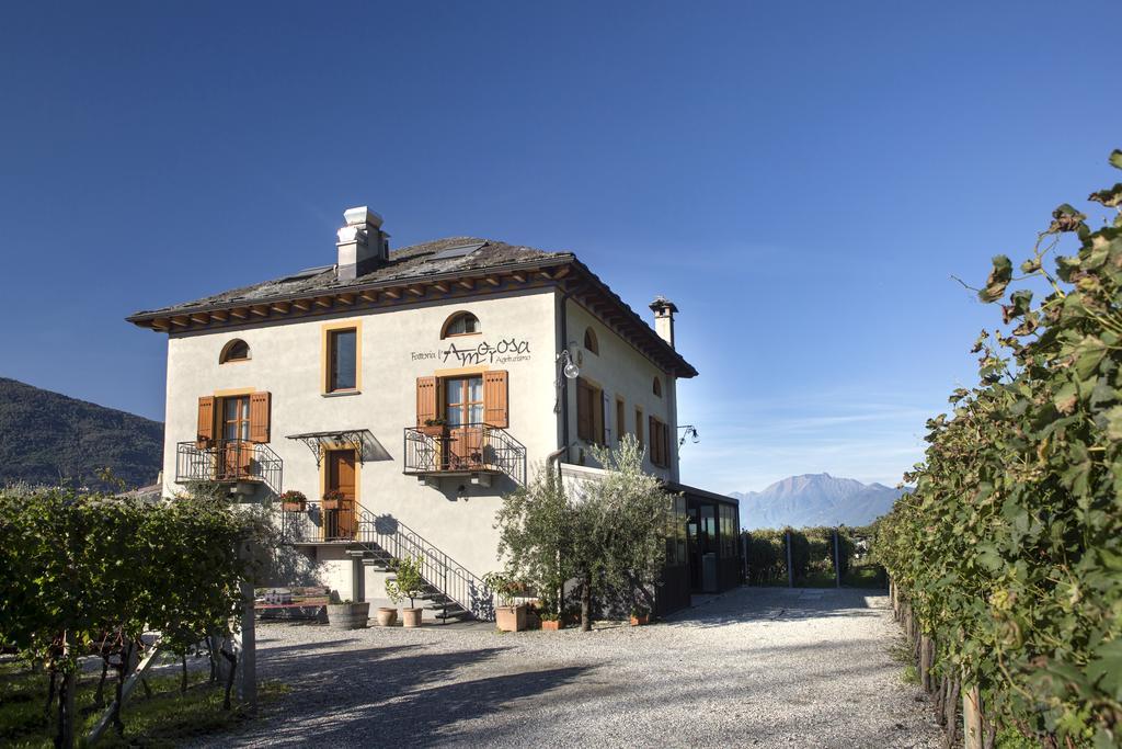 Fattoria L'Amorosa Sementina Exterior photo